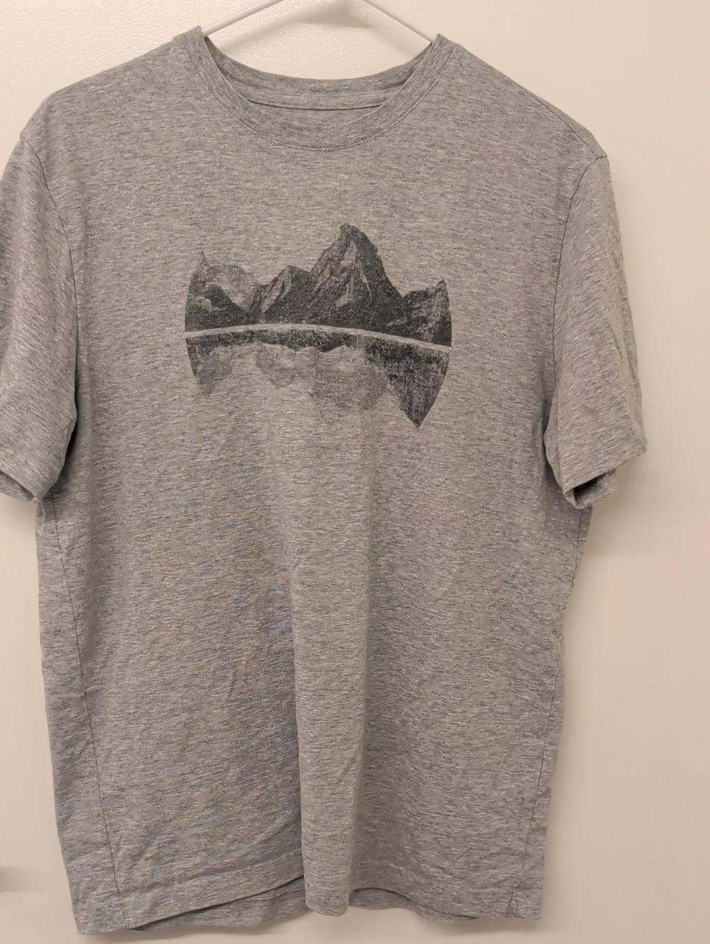 Banana Republic Grey Mountain Graphic Short Sleeve Tee